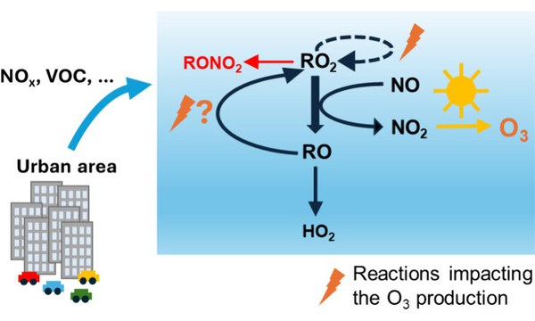 Effect of the Alkoxy Radical Chemistry on the Ozone Formation from Anthropogenic Organic Compounds Investigated in Chamber Experiments