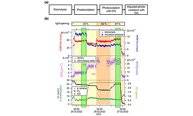 Impact of HO2∕RO2 ratio on highly oxygenated α-pinene photooxidation products and secondary organic aerosol formation potential