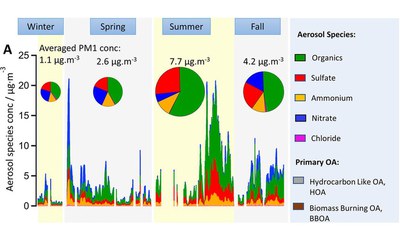 Observational evidence reveals the significance of nocturnal chemistry in seasonal secondary organic aerosol formation