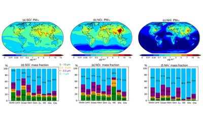 The influence of ammonia emission inventories on size-resolved global atmospheric aerosol composition and acidity