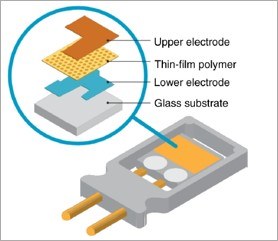 Water Vapour and Ozone