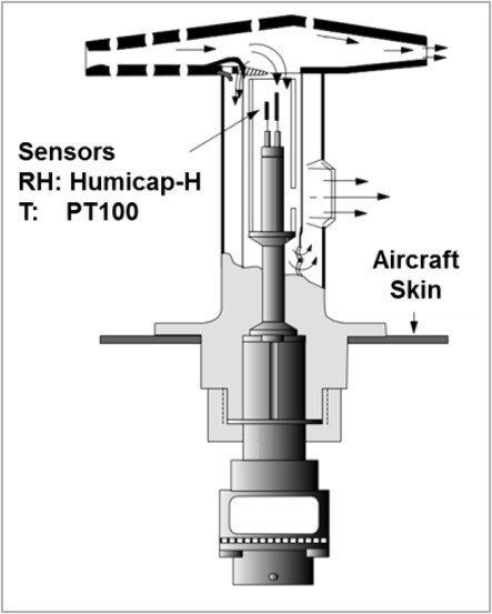 Water Vapour and Ozone