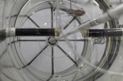 SAPHIR Star 09