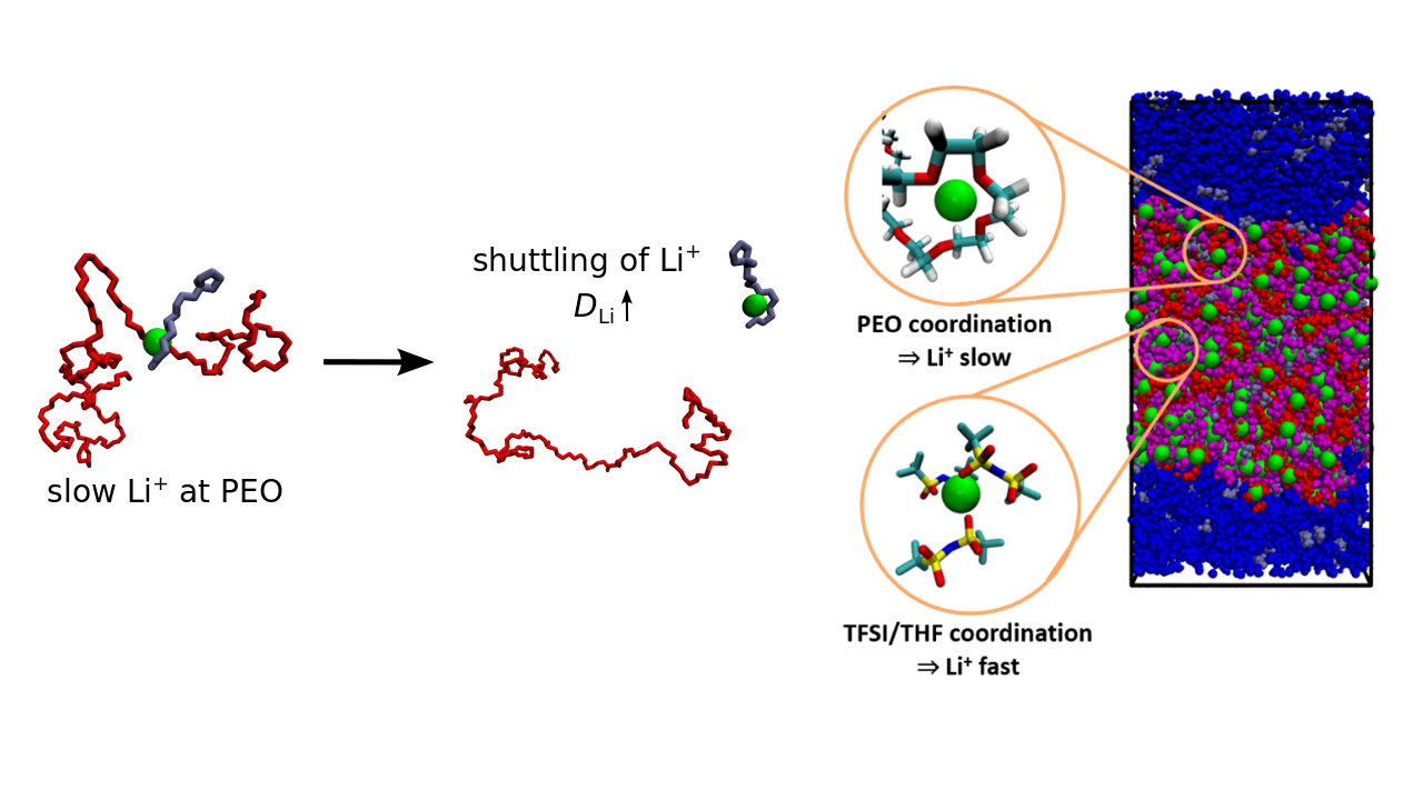 Molecular Modelling of Transport and Transfer Processes