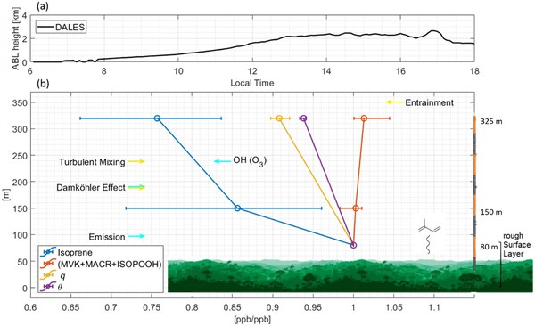 Inferring the diurnal variability of OH radical concentrations over the Amazon from BVOC measurements