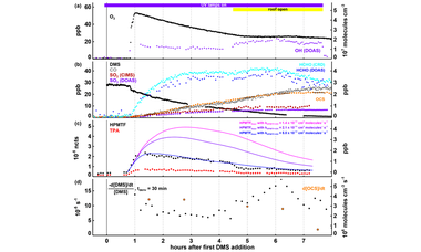 Measurement report: Carbonyl sulfide production during dimethyl sulfide oxidation in the atmospheric simulation chamber SAPHIR