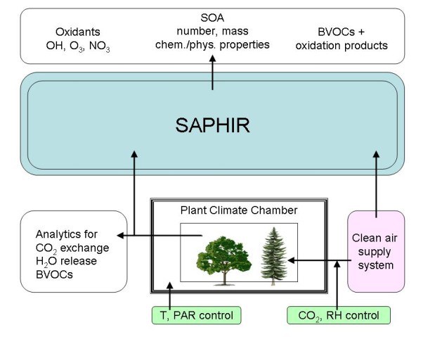 SAPHIR-PLUS