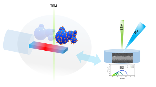 Unveiling the exsolution mechanisms and investigation of the catalytic processes of Sr2FeMo0.65Ni0.35O6-δ using in situ transmission electron microscopy