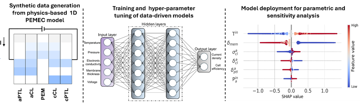 Data-driven surrogate modeling for performance prediction and sensitivity analysis of transport properties in proton exchange membrane water electrolyzers