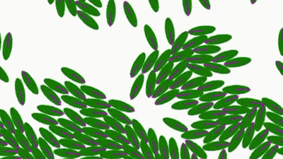 Motion.gif