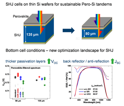 Thin silicon heterojunction solar cells in perovskite shadow: Bottom cell prospective
