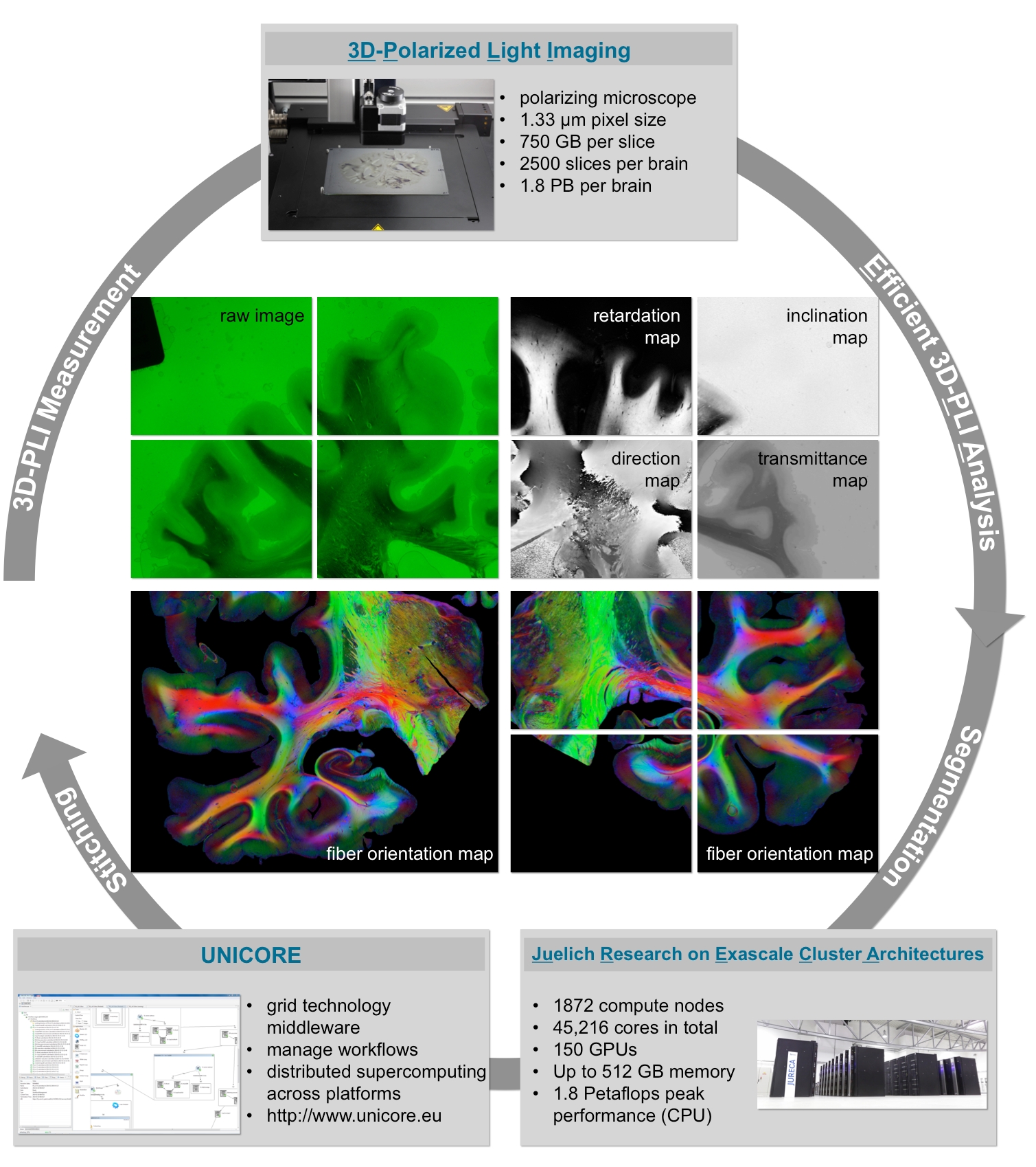Signal and Image Processing