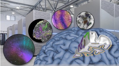 HBP scientists outline in Science how brain research makes new demands on supercomputing