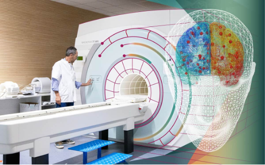 The MRT used for Virtual Epileptic Patient