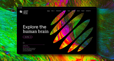 New website launched presenting the Julich Brain Atlas
