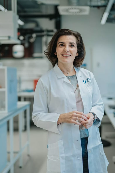 Nicola Palomero-Gallagher elected into the OHBM council