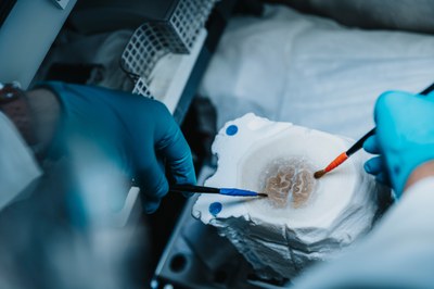 The Human Brain Project ends: What has been achieved