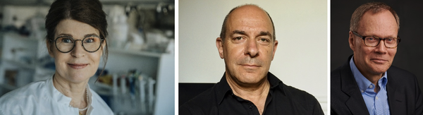 Katrin Amunts, Philippe Vernier, Jan Bjaalie