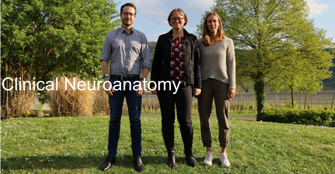 Clinical Neuroanatomy