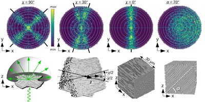 Fig1_Scattering-Based Imaging.jpg