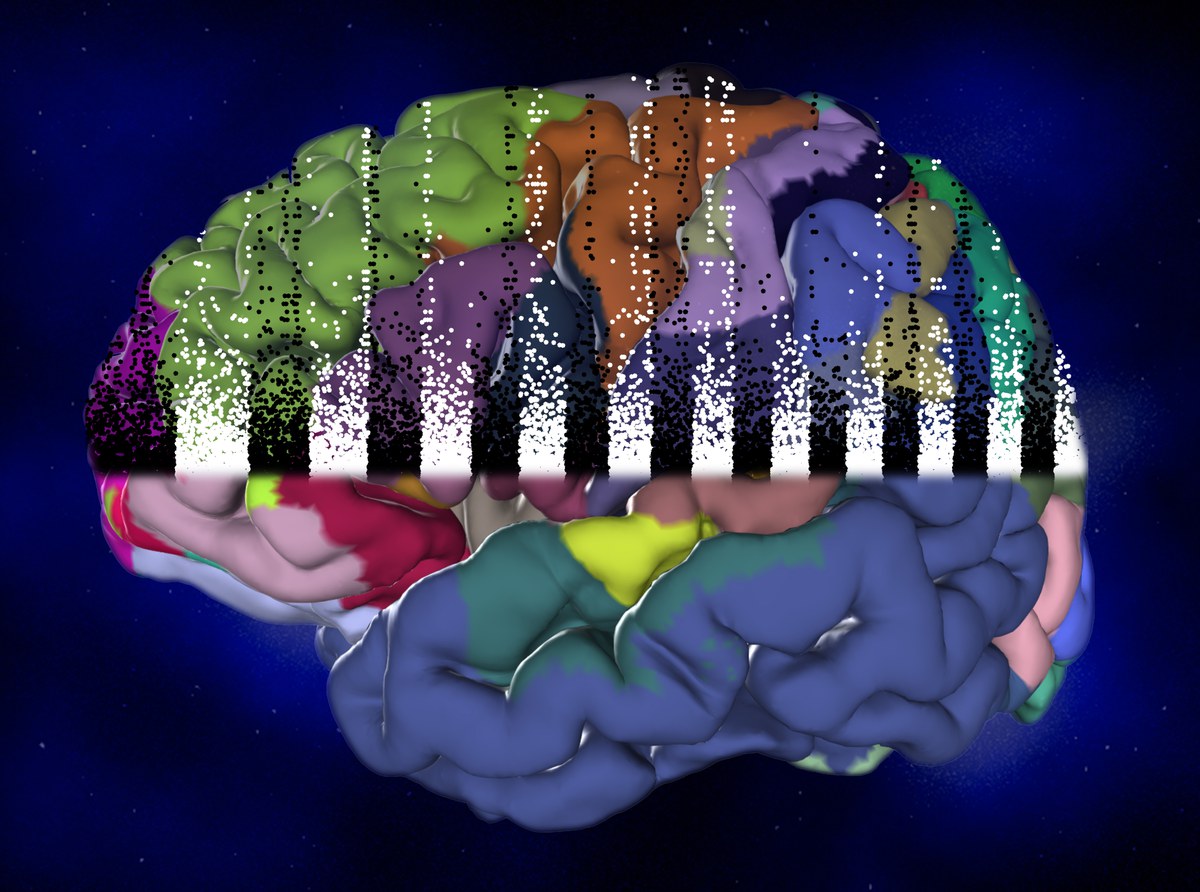 Brain Genomics