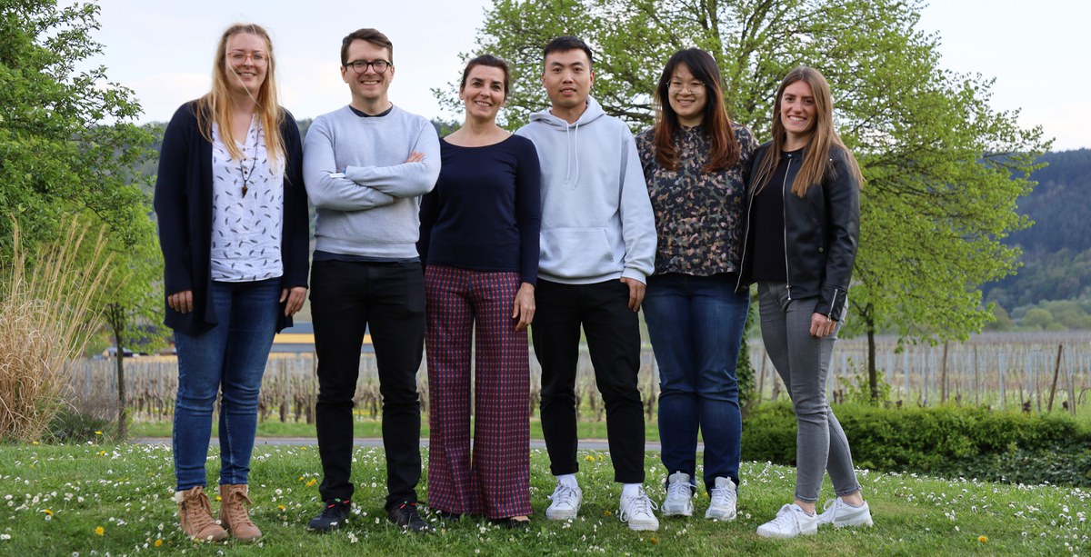 Our Staff
