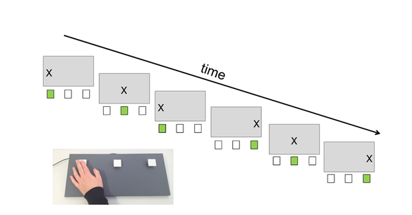 Motor learning