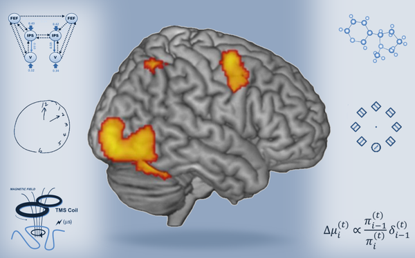 Spatial Cognition