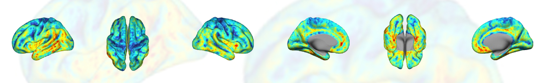CLINICAL MULTIMODAL IMAGING