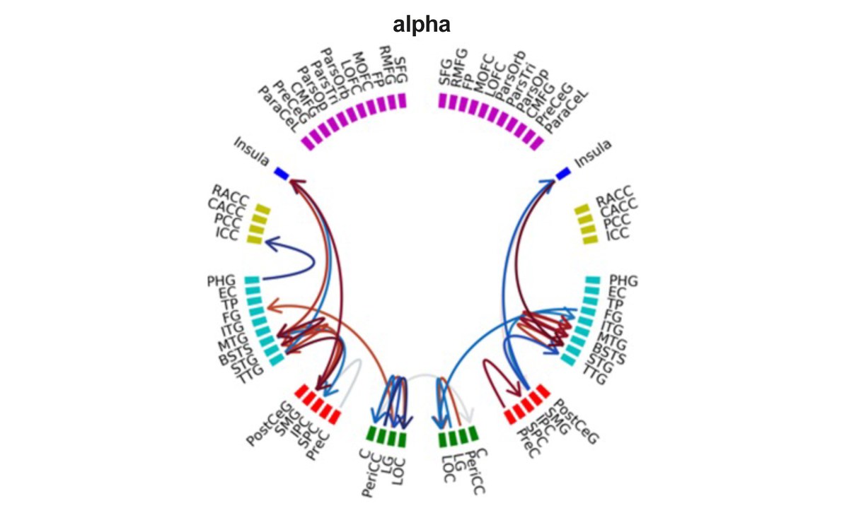 REVEALING WHOLE-BRAIN CAUSALITY NETWORKS DURING GUIDED VISUAL SEARCHING