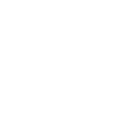 Medical Imaging Physics (INM-4)