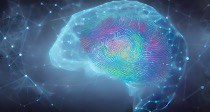 Contrastive Learning for Neural Fingerprinting from Limited Neuroimaging Data