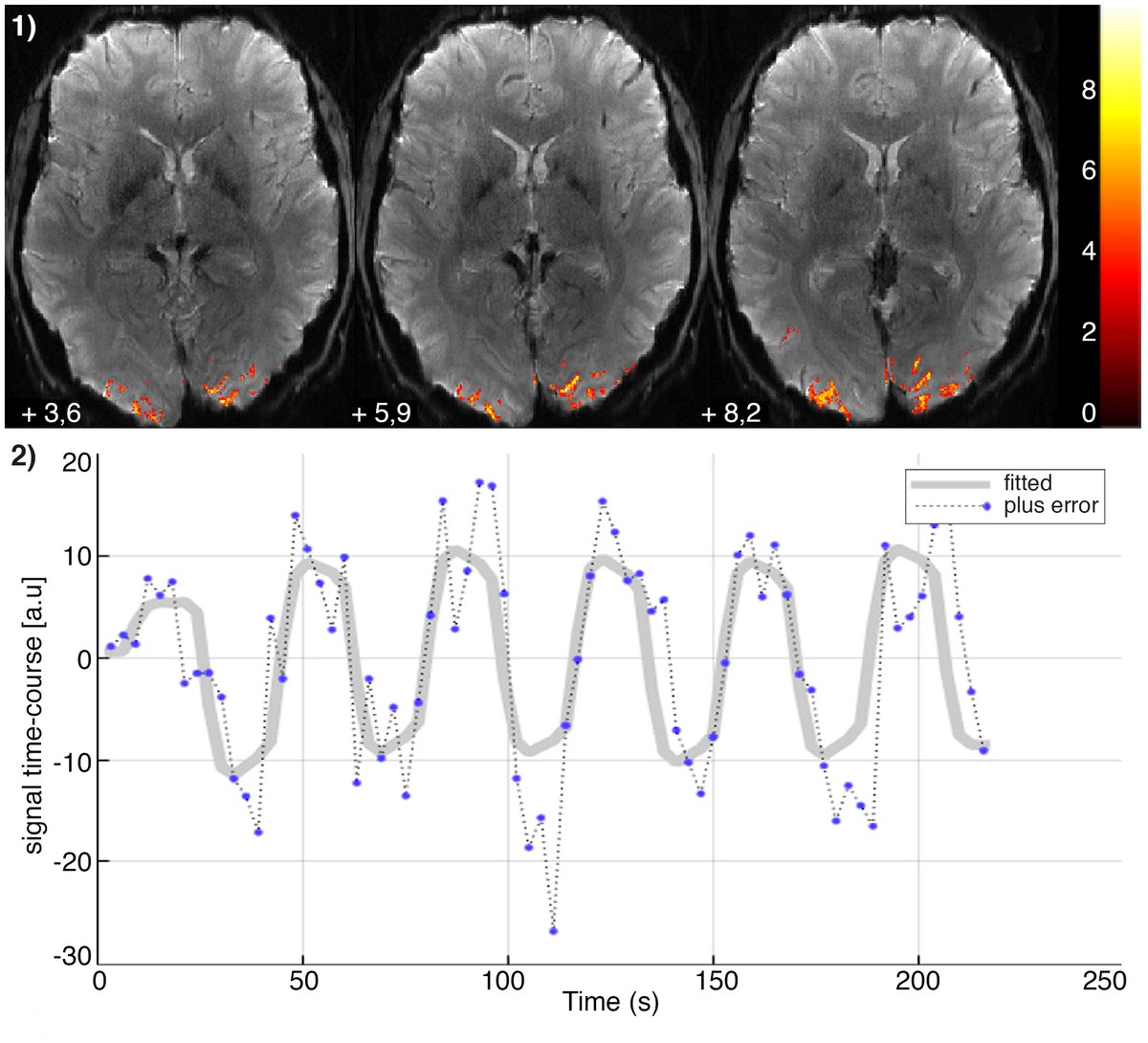 First level analysis results of submillimeter-resolution (0.73x0.73mm2) fMRI