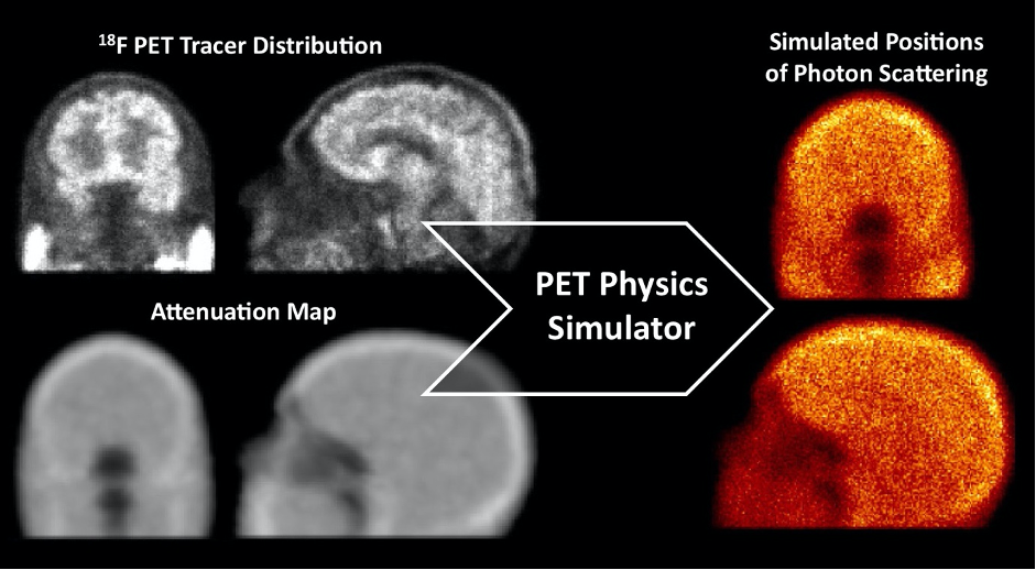 PET Physics Simulator
