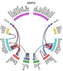 Revealing whole-brain causality networks during guided visual searching