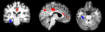 Figure3_R2.png
