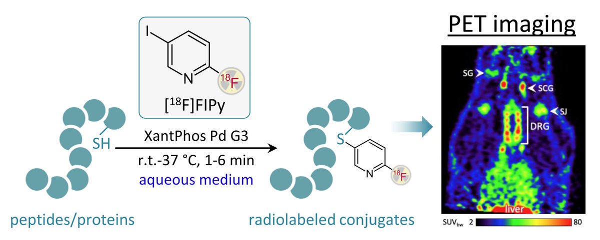 Fast and efficient 18F-labeling via Pd-catalyzed S-arylation in aqueous medium