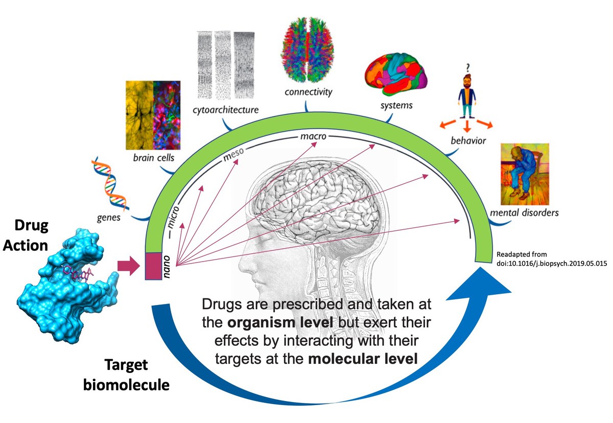 Drug design hub for digital pharmacology