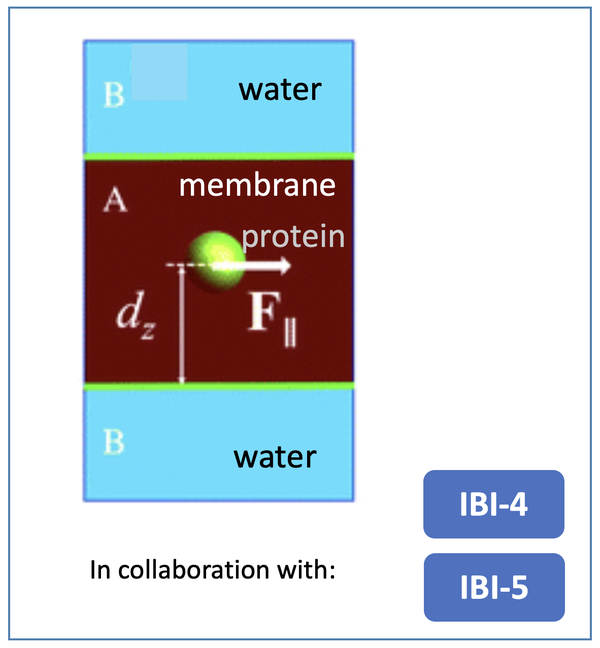 Multiparticle Collision Dynamics-based scheme