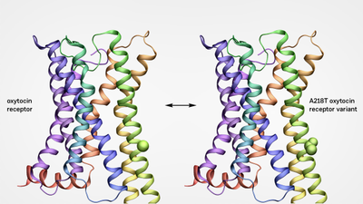 2022-01-13-oxytocin-rezpt-600.png