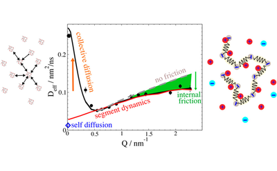 MSD_polyelectrolyte.png