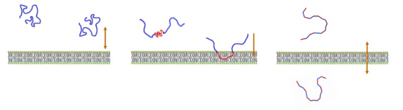 Bio-Membrane Translocating Polymers