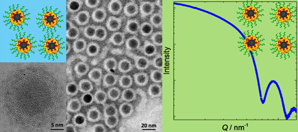 Functional Polymer Nanocomposites