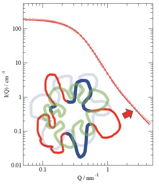 Ring Polymers