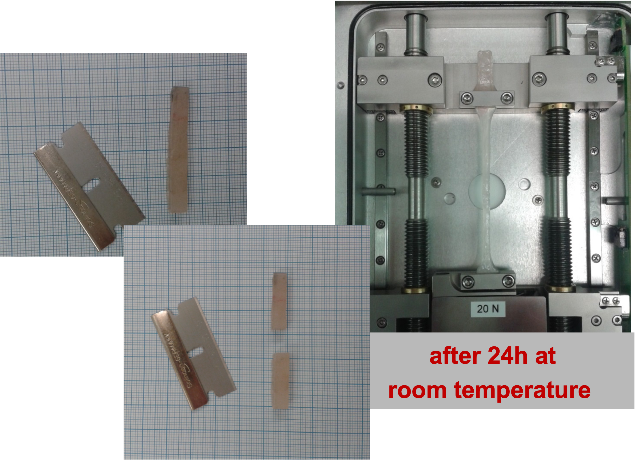 Self-Healing Elastomers