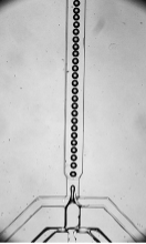 Microfluidics