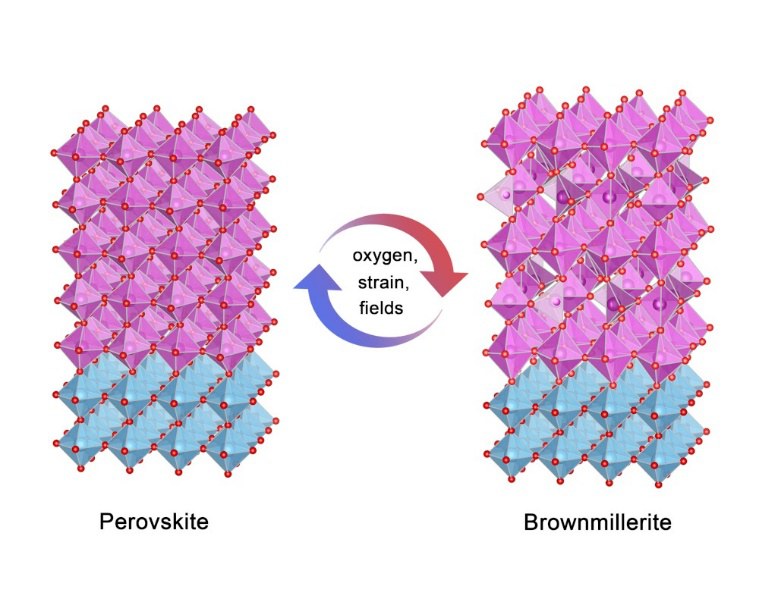 Schematic  depiction of the topotactic phase transition between the perovskite and  brownmillerite phase found in complex oxides of type La1-xSrxMO3 (M =  Mn, Fe, Co).