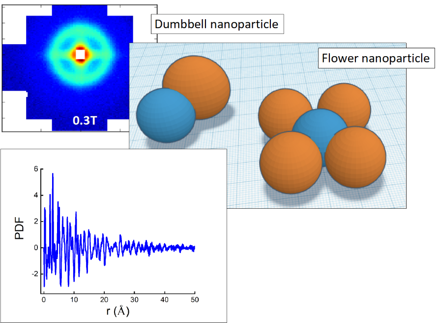 Small-angle neutron scattering data of Au-Fe3O4  dumbbell  nanoparticles and x-ray PDF data of flower nanoparticle