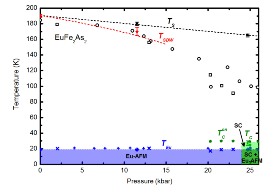 Magnetic  phase diagram for EuFe­As­2 under hydrostatic pressure. The transition  temperatures, TC and TEu, are the superconducting and Eu  antiferromagnetic ordering temperatures, respectively. TS and TSDW  ­­denote structural phase transition and Fe SDW ordering temperatures,  respectively. 