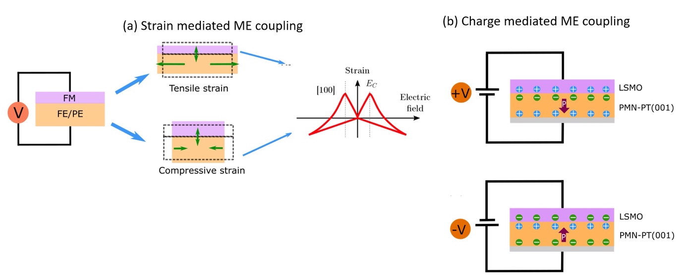 Schematic  of (a) strain mediated and (b) charge mediated magnetoelectric coupling  in FE-FM heterostructure. The butterfly loop is characteristic of  in-plane piezoelectric strain vs electric field. Charge mediated  coupling occurs via accumulation/depletion of charges at the interface  as depicted for LSMO/PMN-PT(001).
